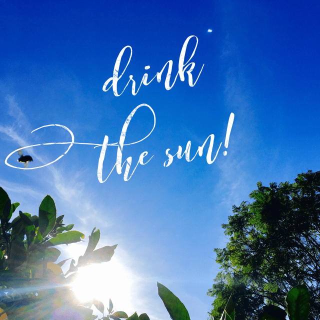 Drink The Sun: 25 Ways To Let Non-Edibles Feed You