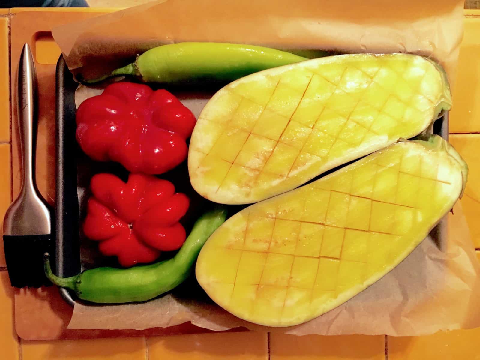 Are Nightshades Shady?