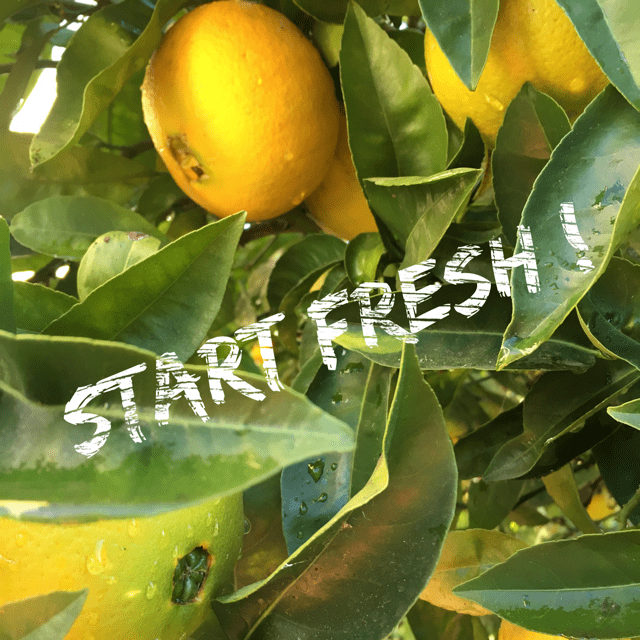 How To Start Fresh Post Thanksgiving