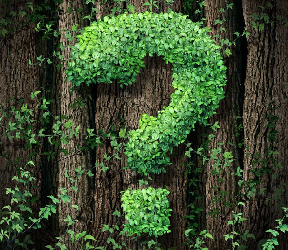 This organic action-coaching-question will change your life