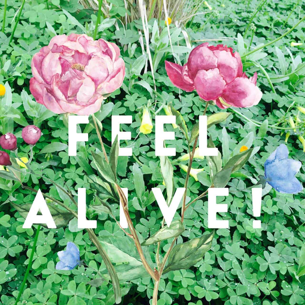 7 Steps To Cultivate Your Aliveness