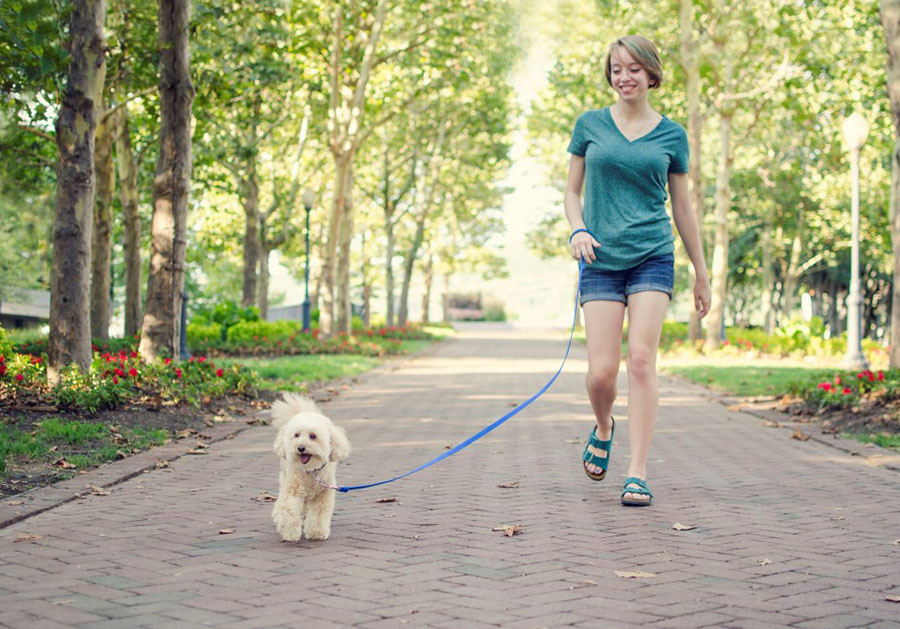 how-to-get-more-steps-in-a-day