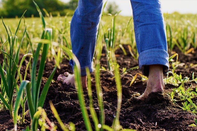 Sustainability Series: Best Books About Sustainable Living